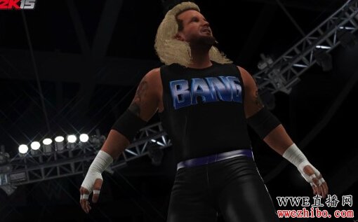 ��WWE 2K15����DLC��ͼ���� 