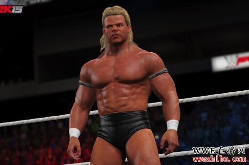 ��WWE 2K15����DLC��ͼ���� 