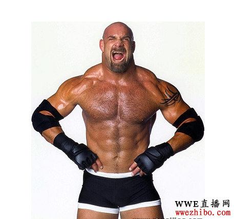 Goldberg��ְҵˤ���˶�Ա