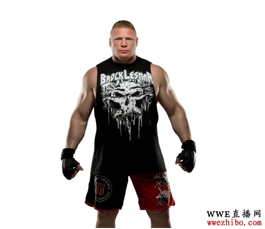 �����&middot;��˹�� wweˤ��ѡ��