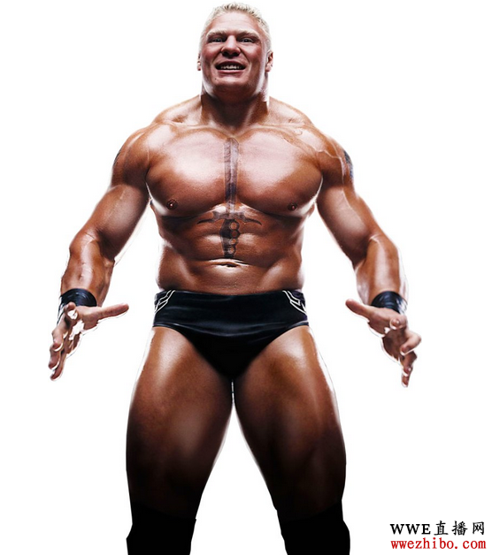 �����&middot;��˹�� wweˤ��ѡ��