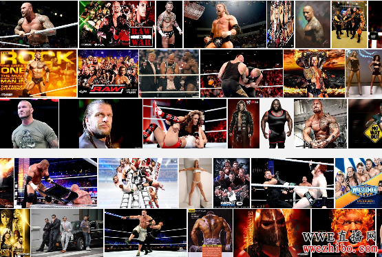 WWE����ֱ��