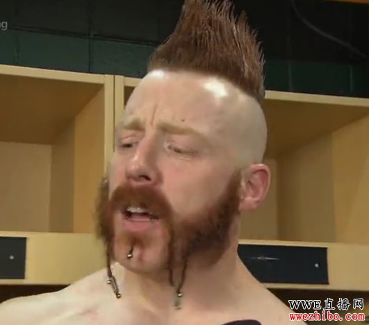 WWE ��WWE 2015��King Of The Ring�� �����ط�