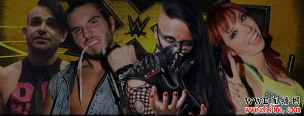 wwe����2015��������