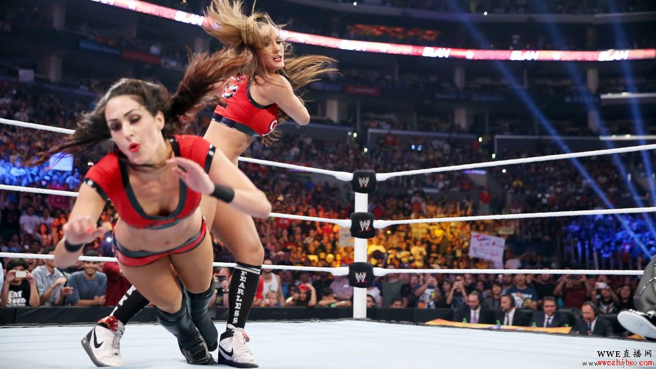 TD_311_Photo_38-3306378787