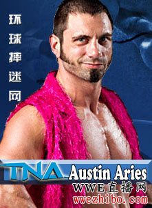 Austin Aries(��˹͡������˹)����